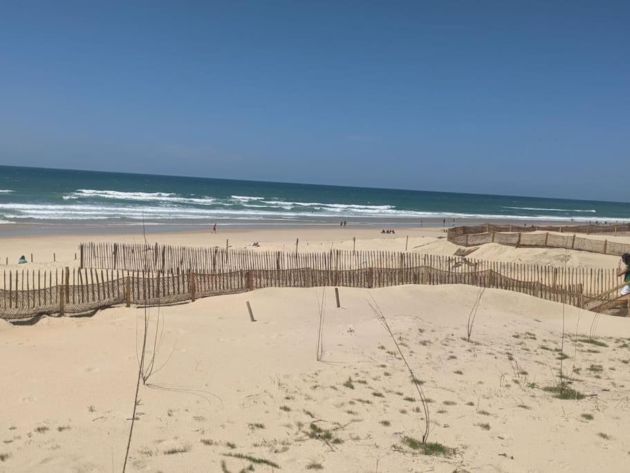 Appartement 200M De L'Ocean Avec Piscine Exterieure Mimizan-Plage Exteriör bild